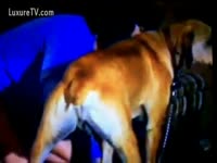 Animal porn dog banging her pet owner
